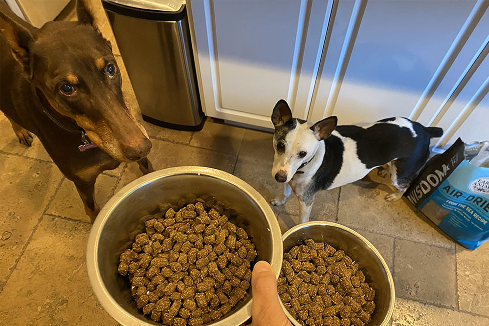 Earth Animal Wisdom Dog Food Review